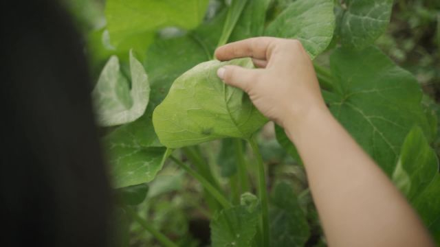 FNC - Trayectorias Educativas Completas