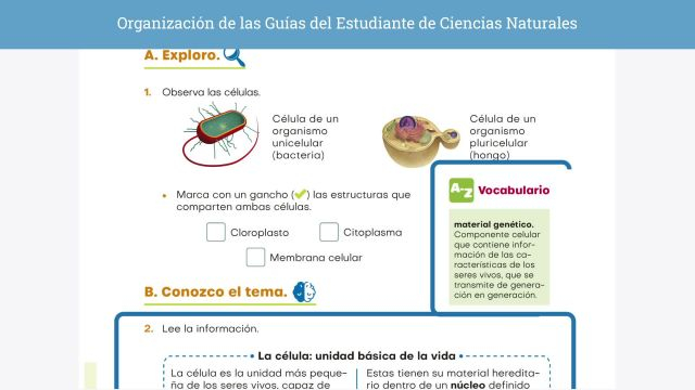 VE_Cs-Naturales_4-6