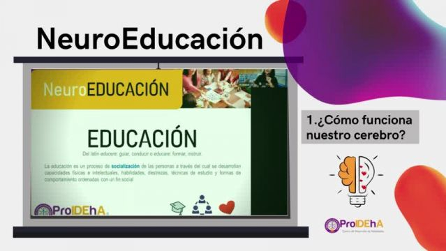 1- NeuroEducación - Cómo funciona nuestro cerebro