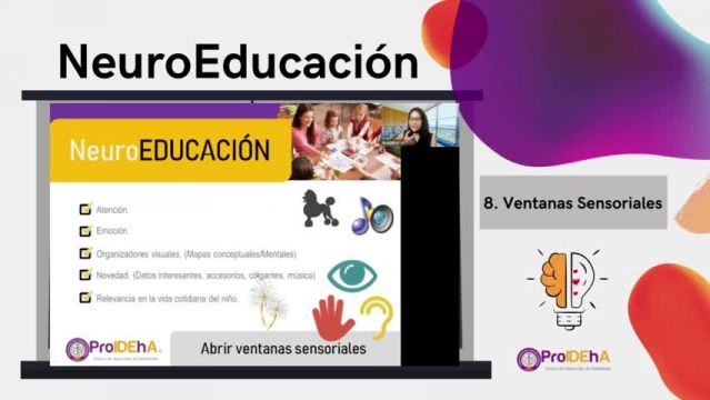 8- NeuroEducación - Ventanas Sensoriales