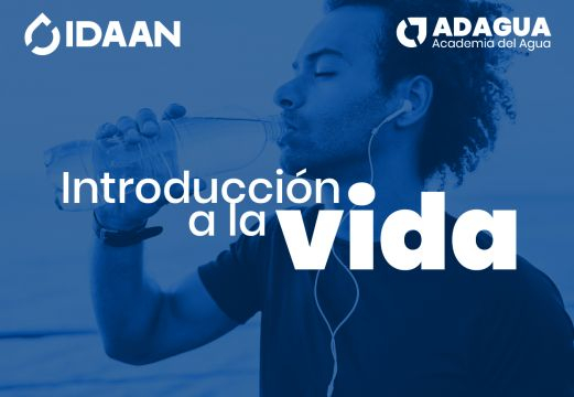 Video de Introducción al curso