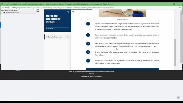 B- Roles del facilitador